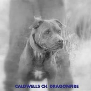 Meet your Posher, Randy